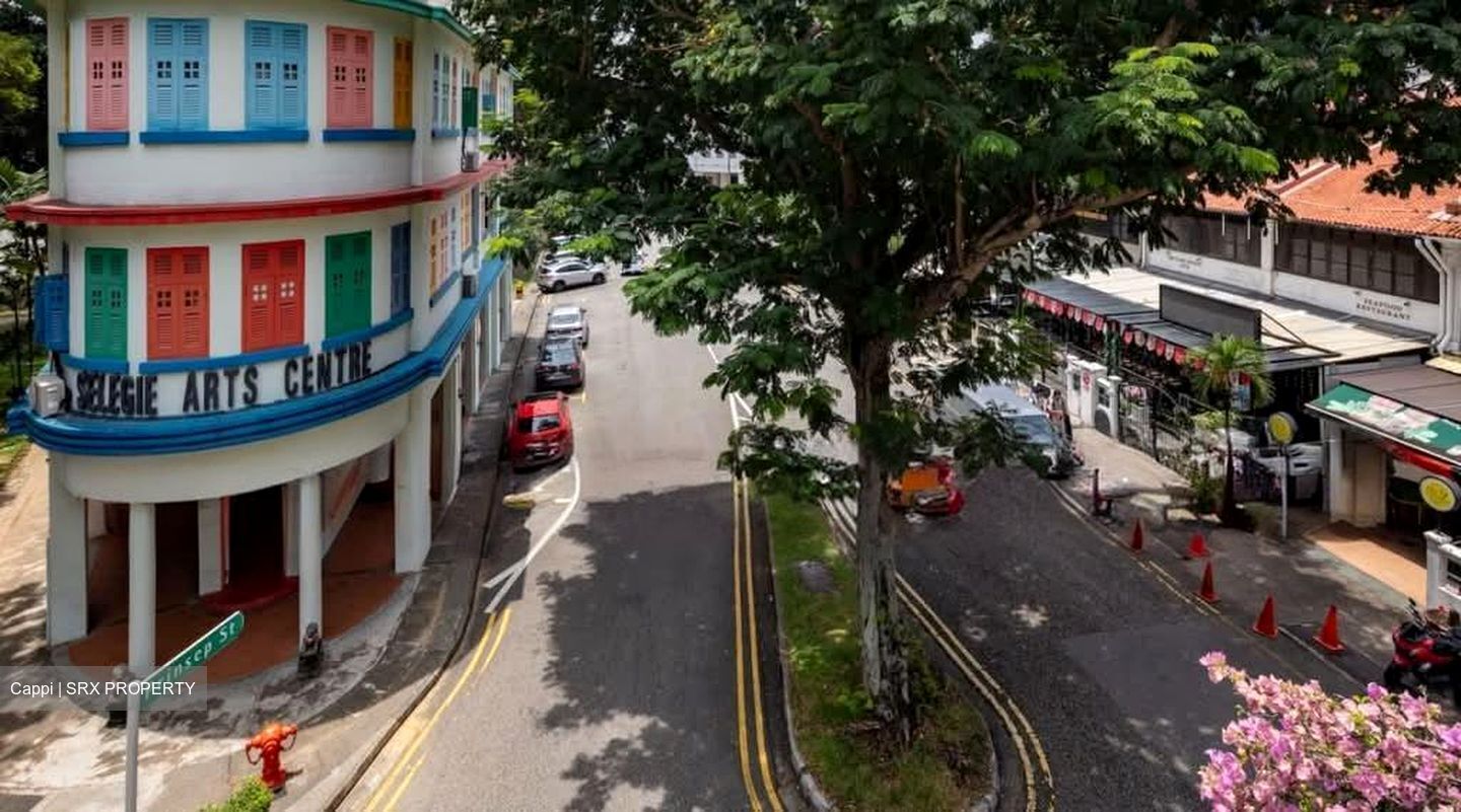 Prinsep Place (D7), Shop House #613068161